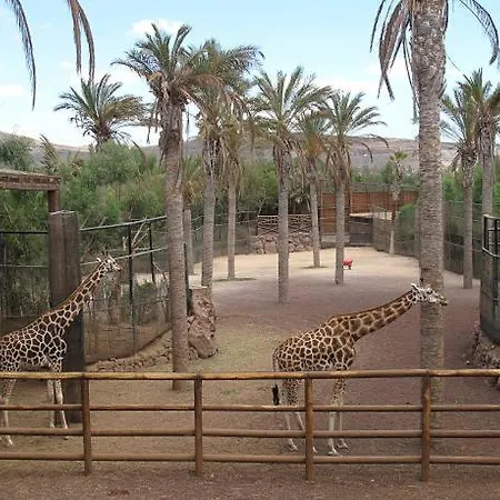 Residencial Oasis Park Apartment La Lajita