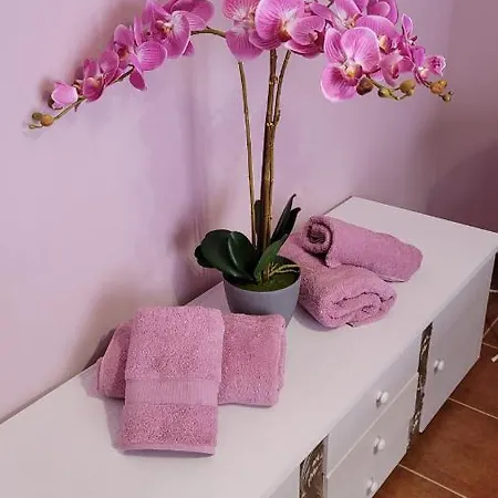 아파트 Residencial Oasis Park *